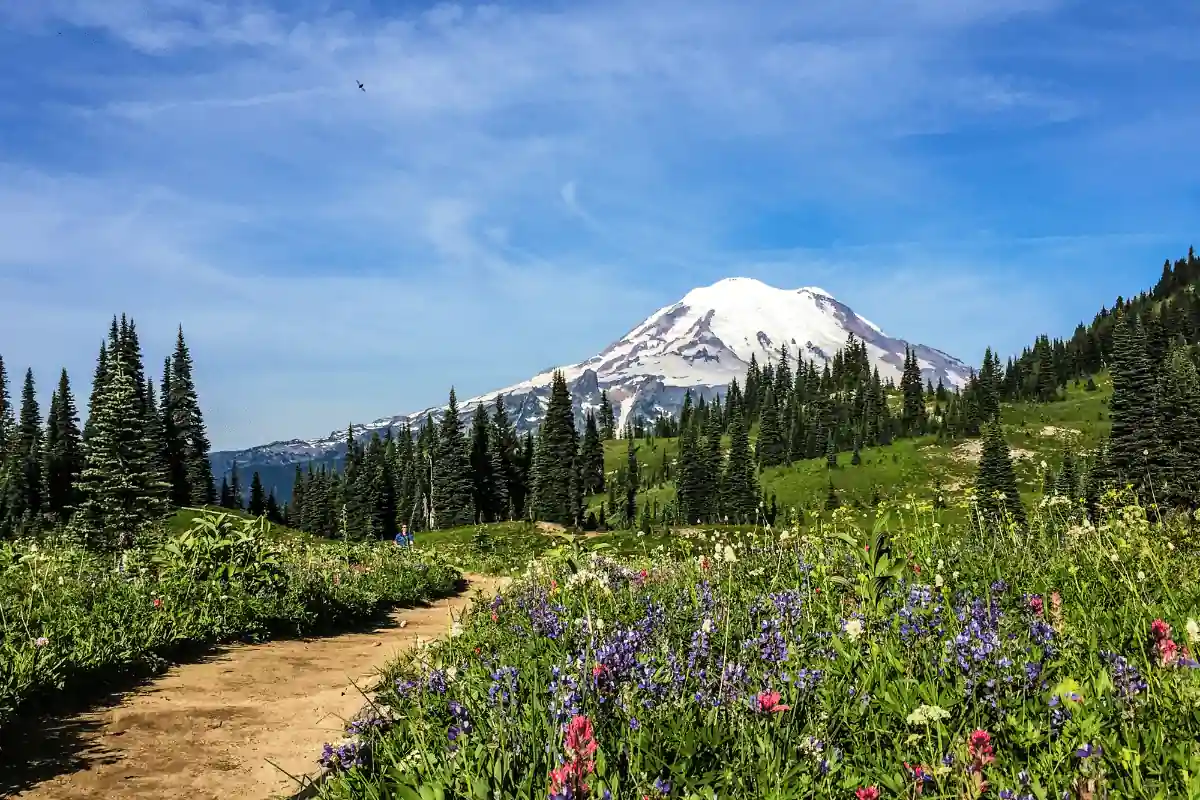 Mount Rainier in the background with a hiking path heading in the general direction