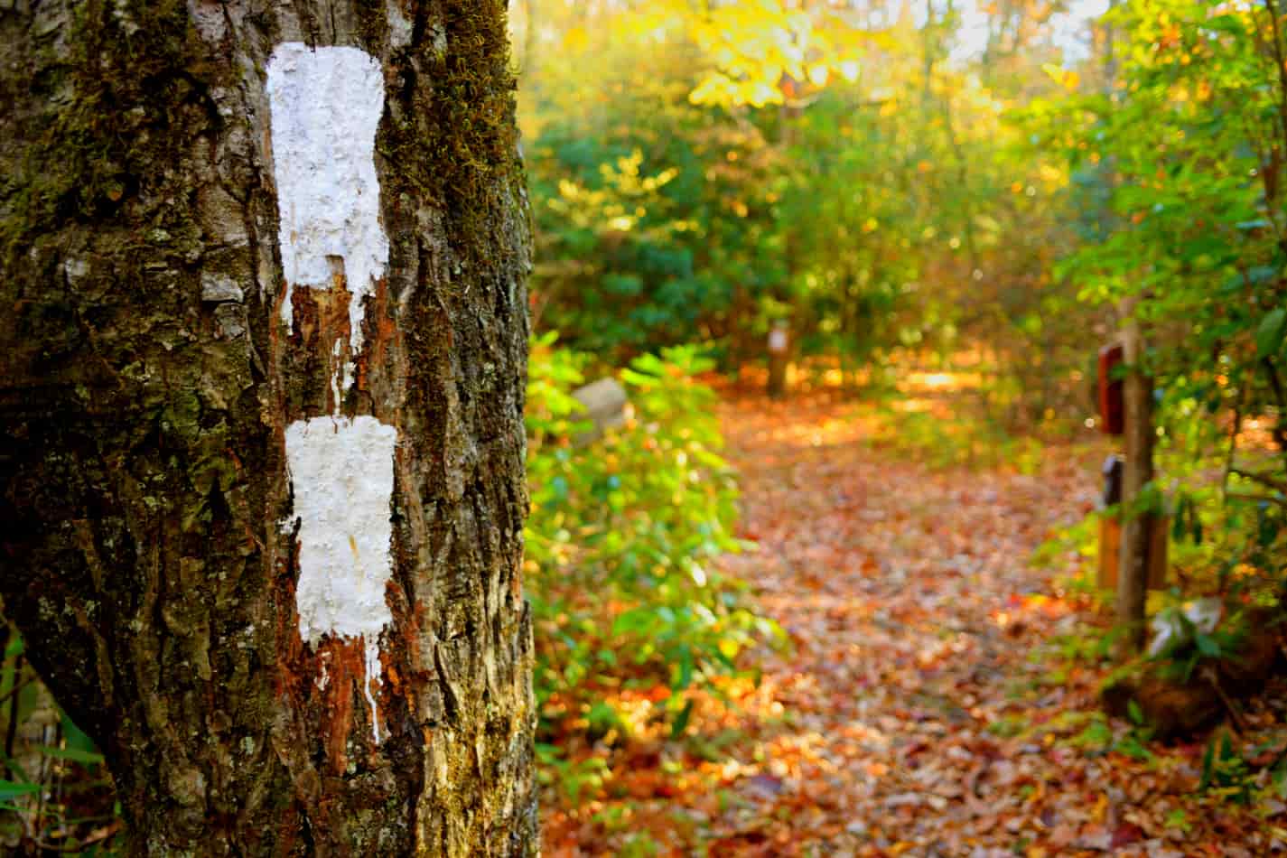 Double white blaze on the appalachian Trail marked on a tree showing you the way forward. Trail markings are important to hiker's success!
