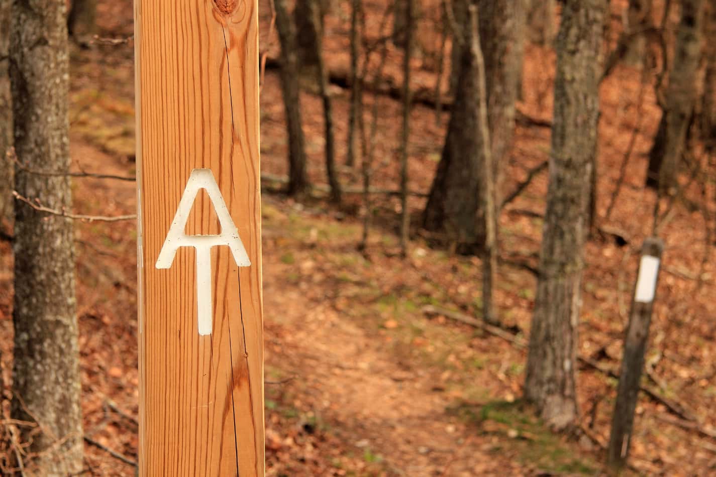 Appalachian Trail Marker on the Trail with the white blaze behind it
