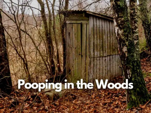 old pit toilet in the woods - is it legal to poop in the woods