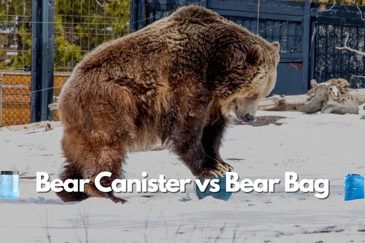 Bear attacking a bear canister showing it durability to attack