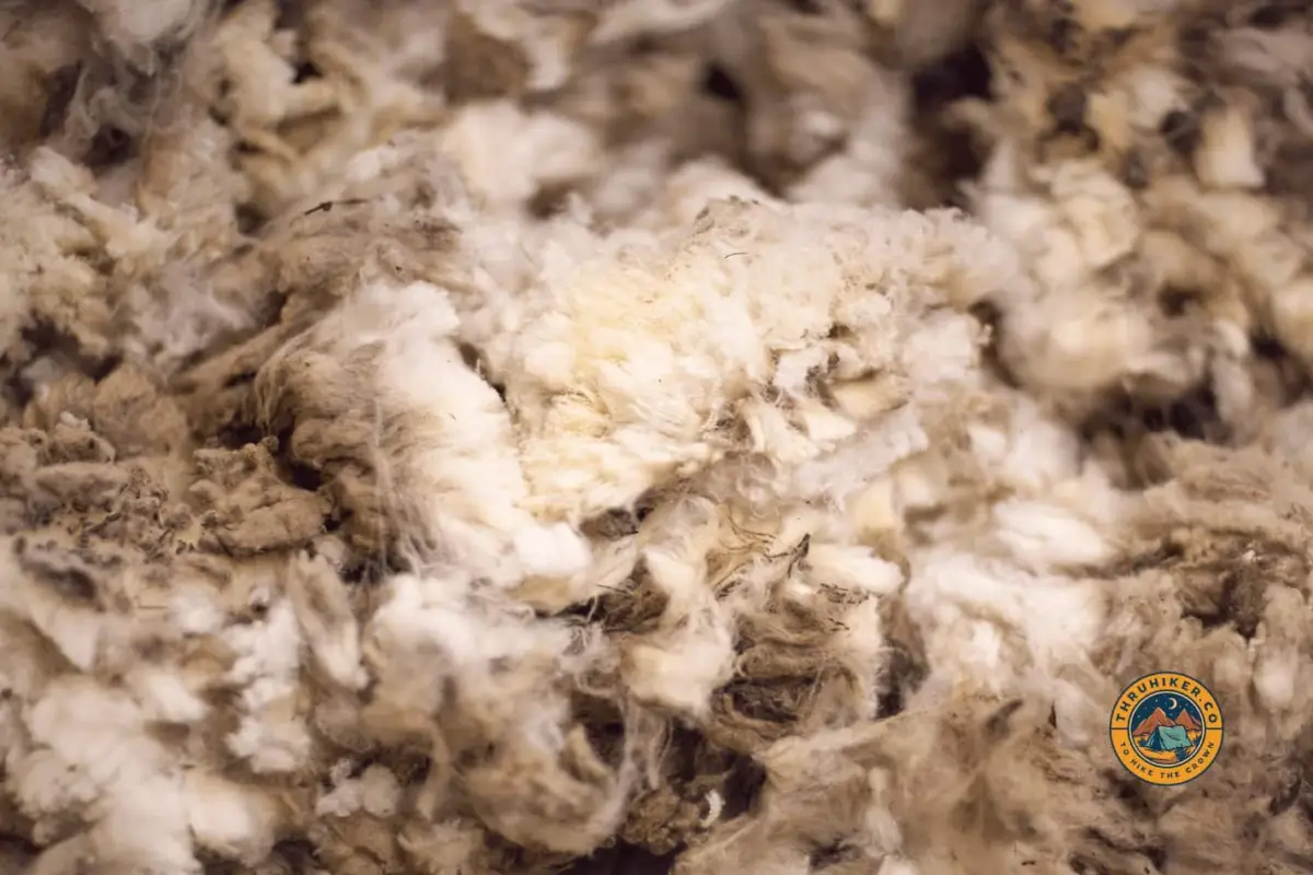 Freshly shorn merino wool ready to be processed and cleaned for wool creation.