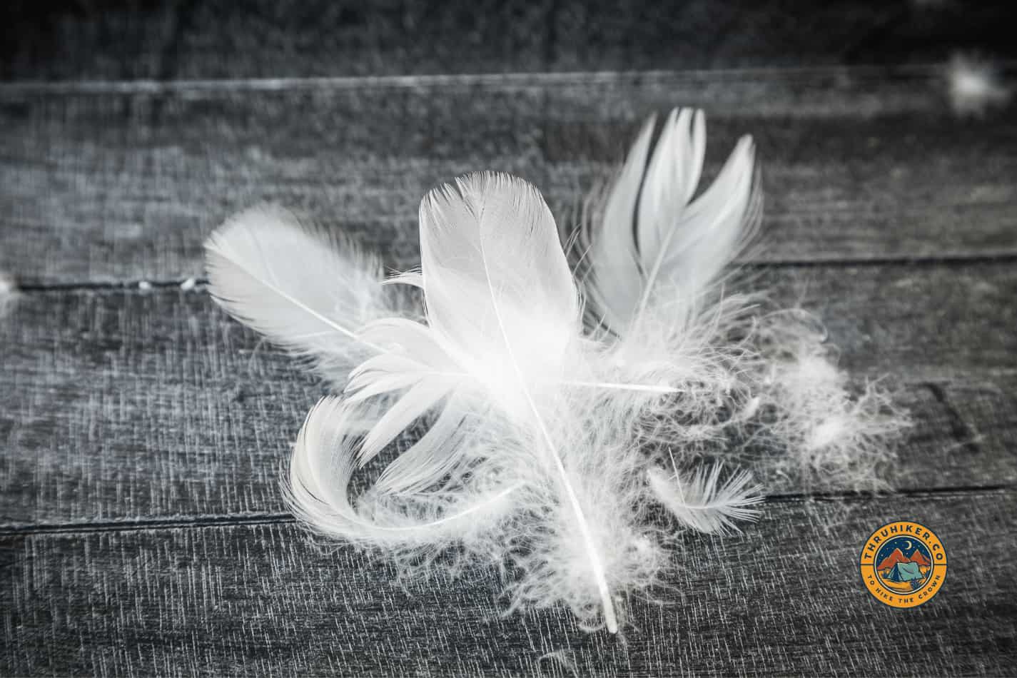 Down feathers on a table showing how fine the mix is between down and feather