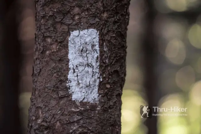 Appalachian Trail White Blaze On A Close Up On A Tree