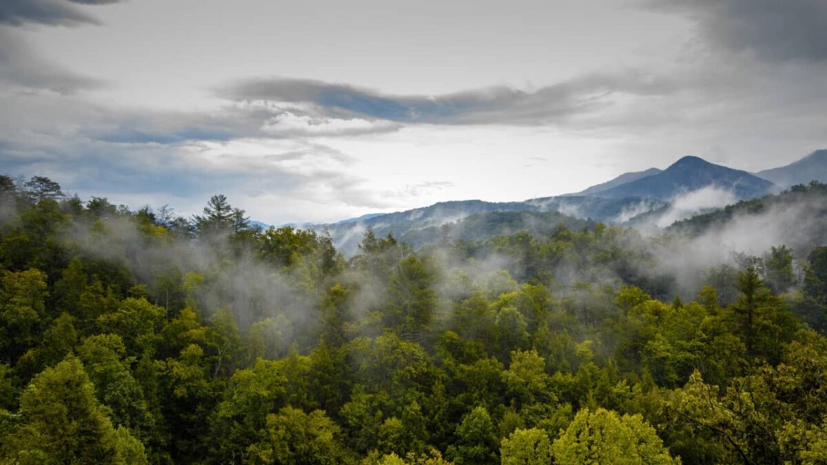 Great Smoky Mountains National Park