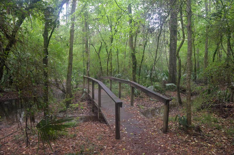 Lone Star Hiking Trail Bridge