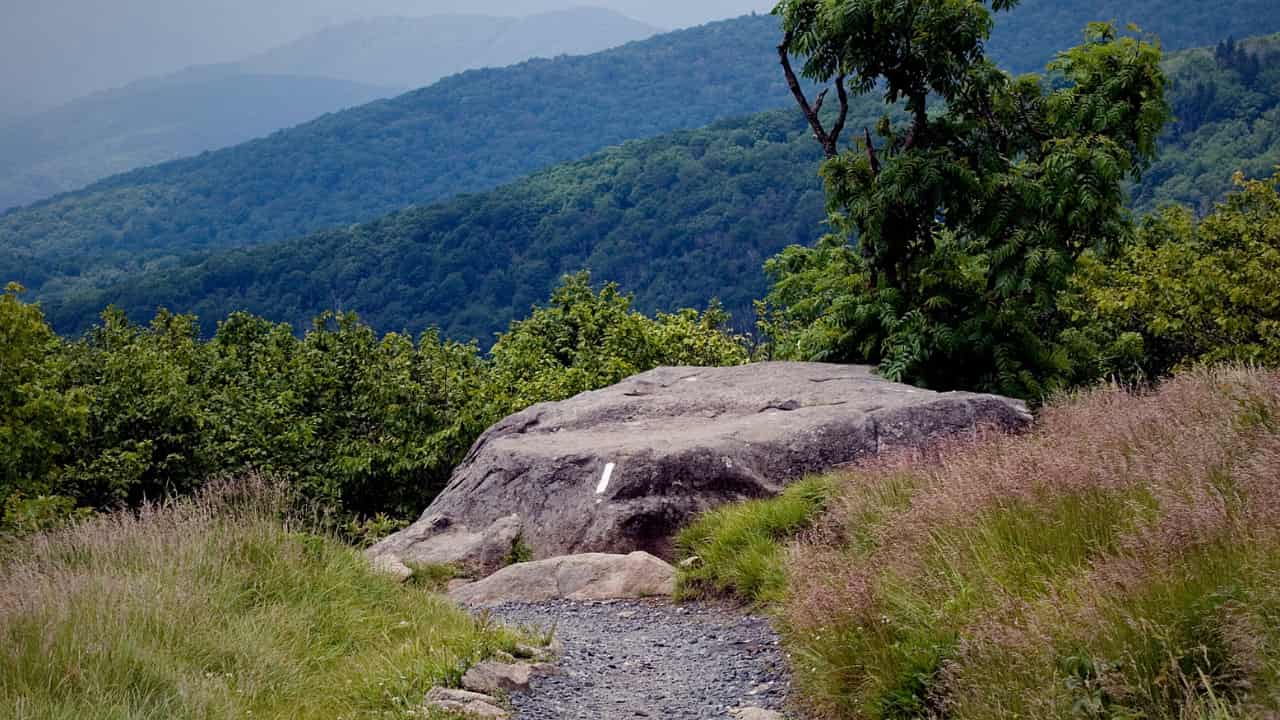 Trail marker on a boulder on the Appalachian Trail in Tennessee. Atop Roan Mountain.