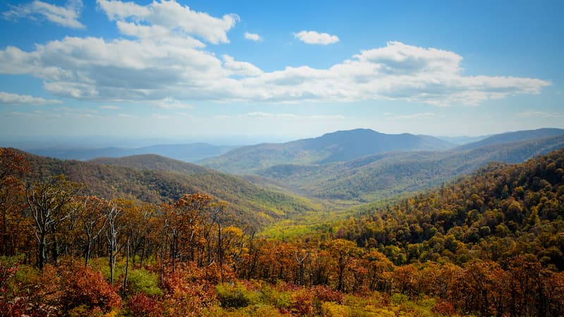 Shenandoah National Park