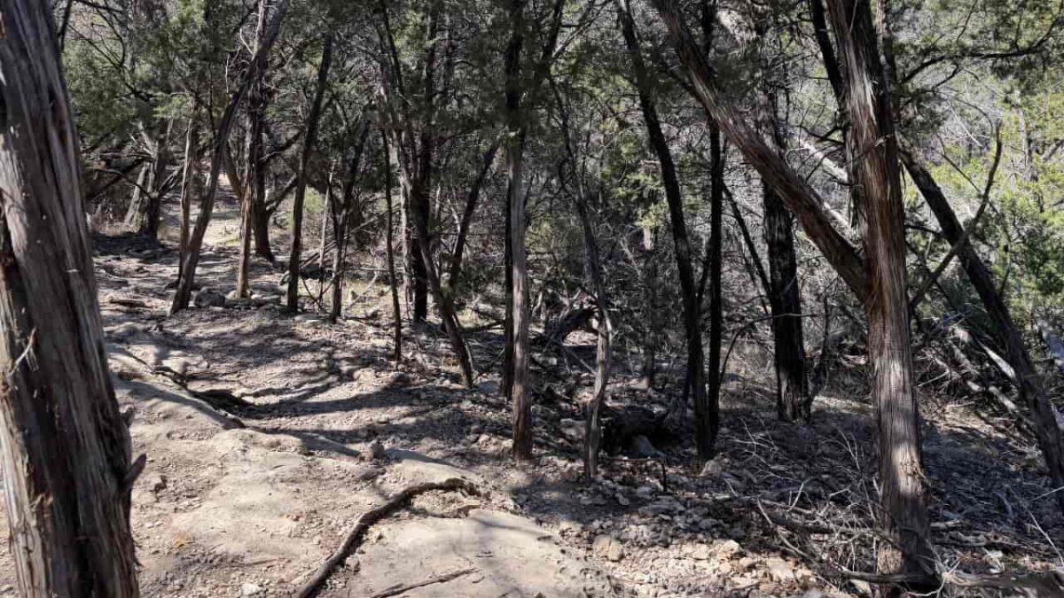 Trail On The Goodwater Loop