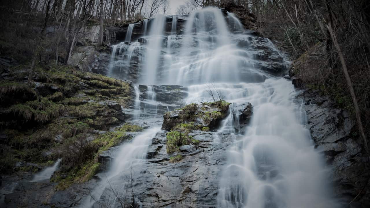 Amicalola Falls To Springer Mountain